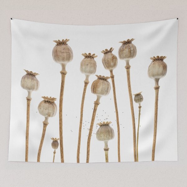 Item preview, Dried Poppy Seed Heads Botanical Photography Minimalist Neutral Nature Art designed and sold by Elżbieta  Kaps.