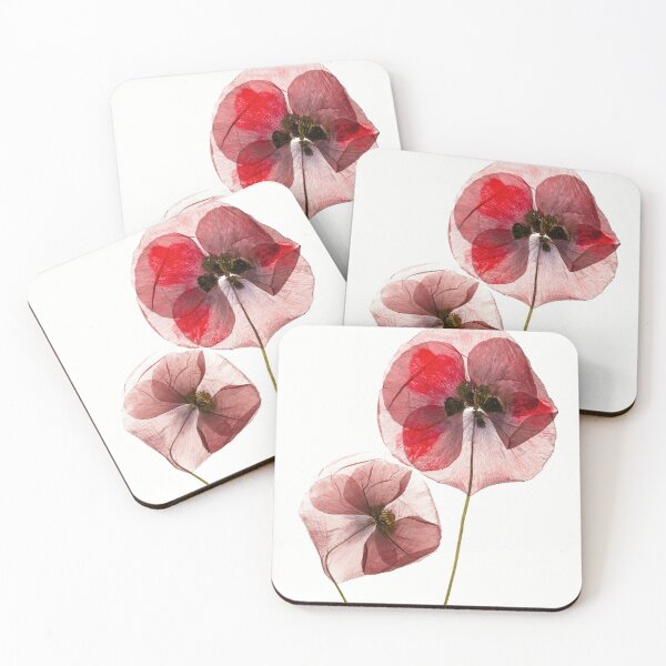 Item preview, Translucent Red Poppies Botanical Photography Minimalist Floral Art designed and sold by Elżbieta  Kaps.