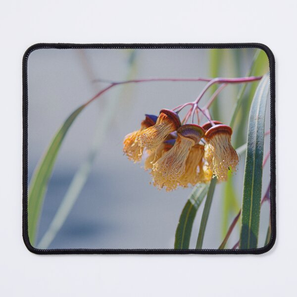 Item preview, Jingymia Mallee Eucalyptus Macro Photography – Fine Art Canvas Print designed and sold by MinzMarchStudio.