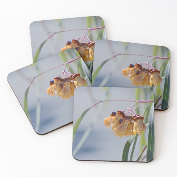 Item preview, Jingymia Mallee Eucalyptus Macro Photography – Fine Art Canvas Print designed and sold by MinzMarchStudio.
