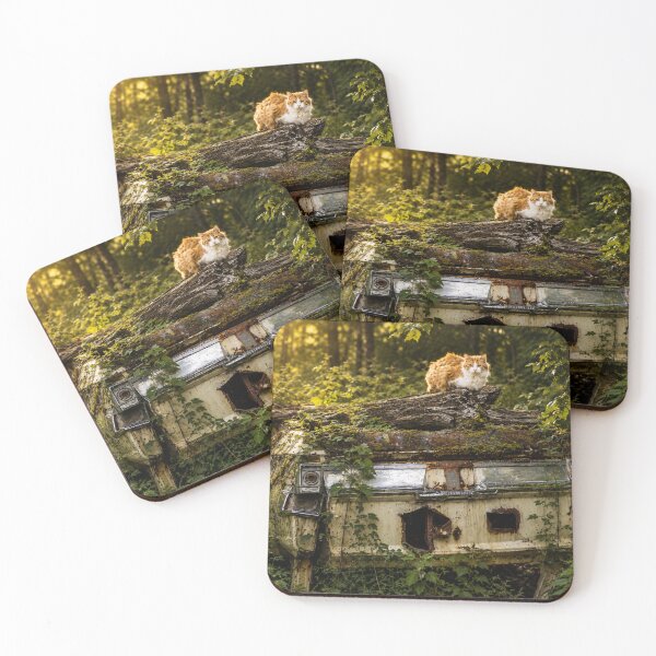 Item preview, Forest Guardian: Cat on an Abandoned Car | Haines, Alaska designed and sold by Kimberly Palmer.