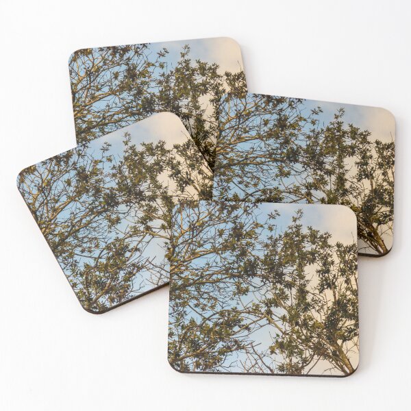 Item preview, Sunlit Tree Branches and Green Leaves Against Blue and Golden Evening Sky designed and sold by Nmallia.