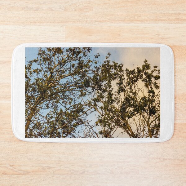 Item preview, Sunlit Tree Branches and Green Leaves Against Blue and Golden Evening Sky designed and sold by Nmallia.