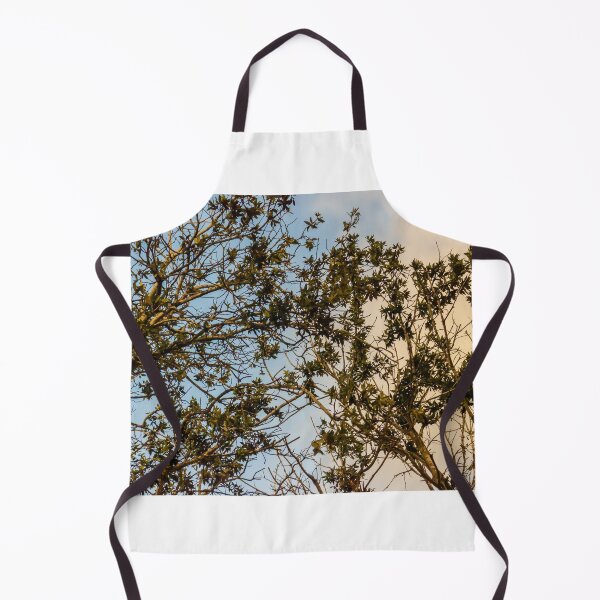 Item preview, Sunlit Tree Branches and Green Leaves Against Blue and Golden Evening Sky designed and sold by Nmallia.