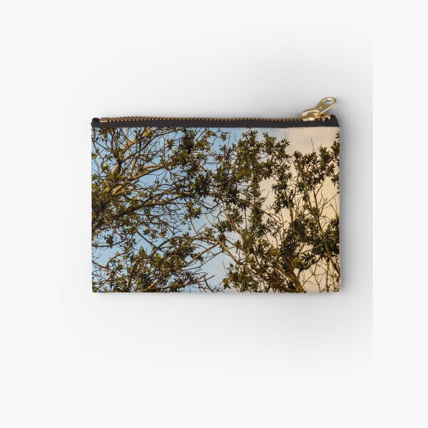 Item preview, Sunlit Tree Branches and Green Leaves Against Blue and Golden Evening Sky designed and sold by Nmallia.