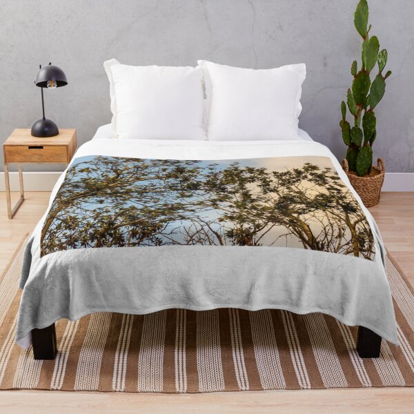Item preview, Sunlit Tree Branches and Green Leaves Against Blue and Golden Evening Sky designed and sold by Nmallia.