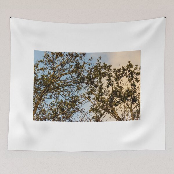 Item preview, Sunlit Tree Branches and Green Leaves Against Blue and Golden Evening Sky designed and sold by Nmallia.
