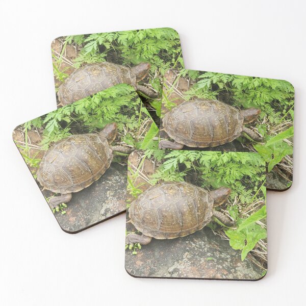 Item preview, Turtle  designed and sold by NetteMarieTRS.