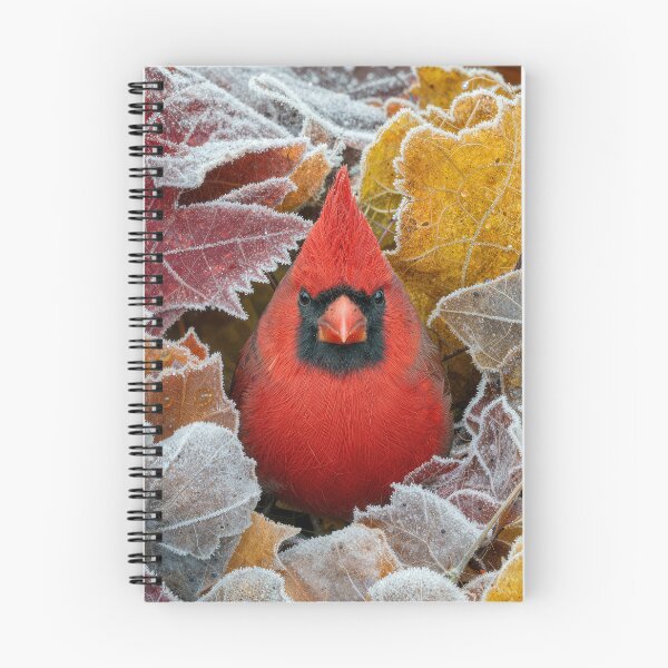 Item preview, Red Cardinal In Frosty Autumn Leaves designed and sold by Maria Dryfhout.