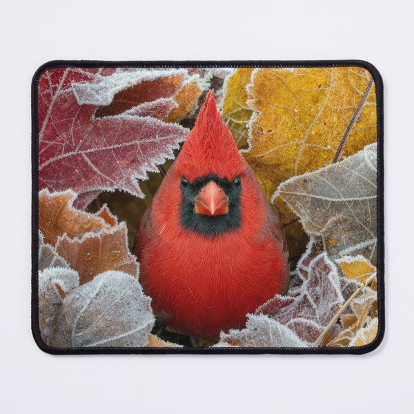 Item preview, Red Cardinal In Frosty Autumn Leaves designed and sold by Maria Dryfhout.