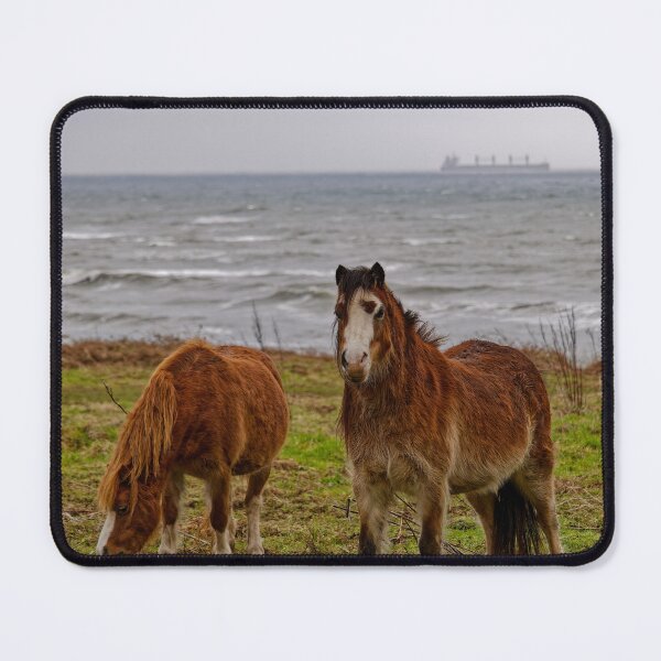 Item preview, The Horses of Gower designed and sold by TomRomanPhotos.