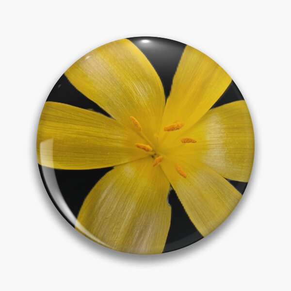 Item preview, Floración dorada – Susurro de luz designed and sold by Catfcreations.