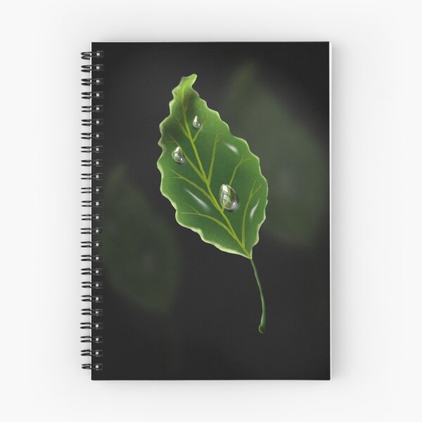 Item preview, Leaf designed and sold by thebigG2005.