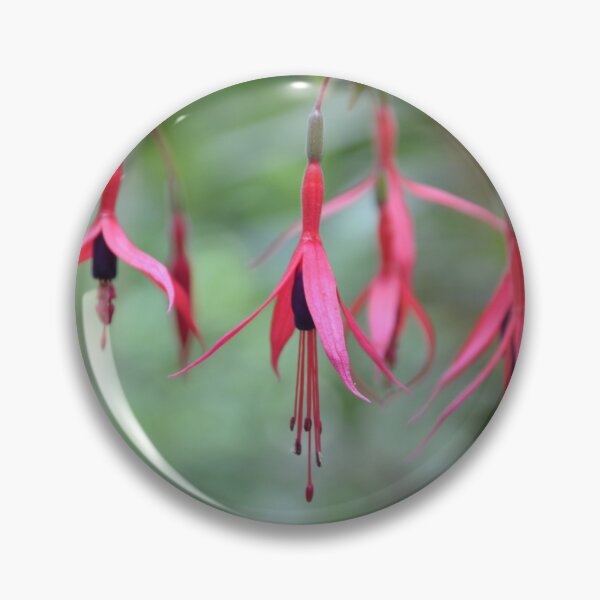 Item preview, Hanging Pink and Purple Fuchsia Blossoms designed and sold by MiraNadaPrints.
