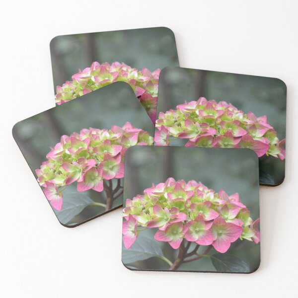 Item preview, Pink and Green Hydrangea Flower Cluster designed and sold by MiraNadaPrints.