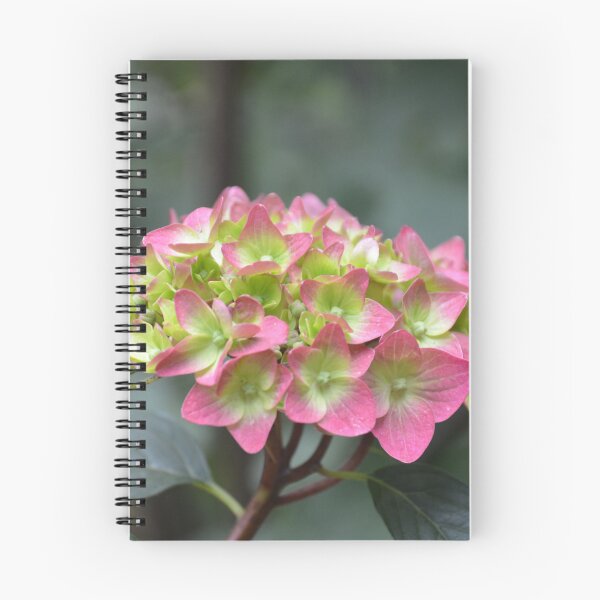 Item preview, Pink and Green Hydrangea Flower Cluster designed and sold by MiraNadaPrints.