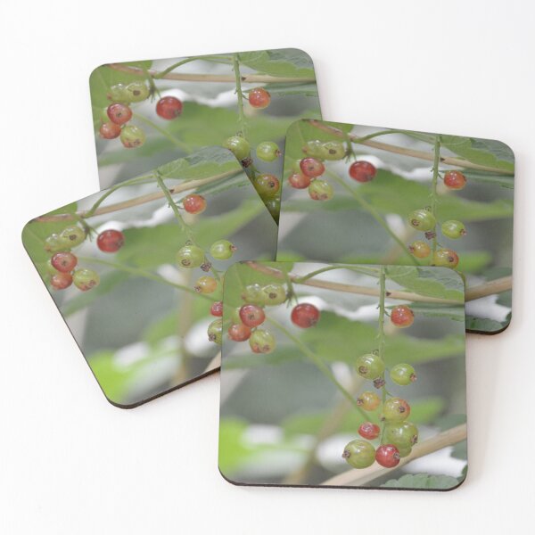 Item preview, Ripening Red Currants Hanging on Vine designed and sold by MiraNadaPrints.