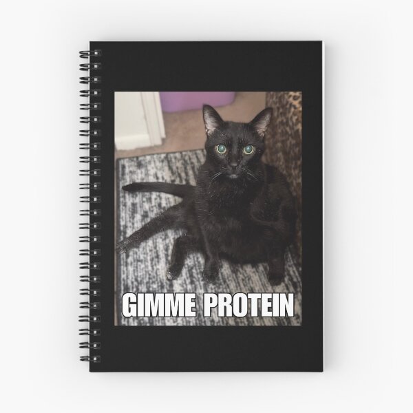 Item preview, Gimme Protein • Real-life Friend cat designed and sold by MannyShop.