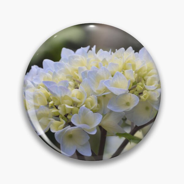 Item preview, Creamy Yellow and Blue Hydrangea Cluster designed and sold by MiraNadaPrints.