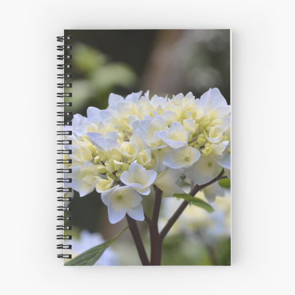 Item preview, Creamy Yellow and Blue Hydrangea Cluster designed and sold by MiraNadaPrints.
