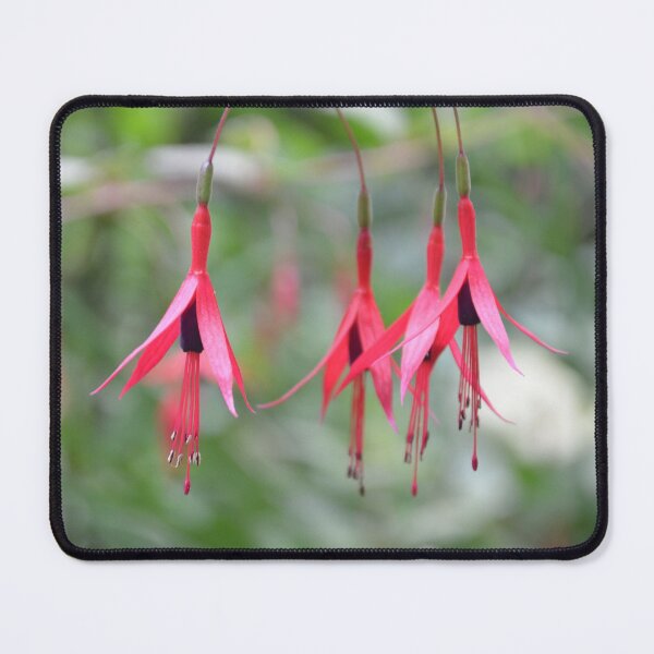 Item preview, Dangling Red Fuchsia Flowers Macro Shot designed and sold by MiraNadaPrints.