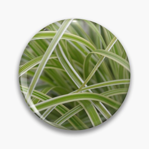 Item preview, Variegated Sedge Grass Full Frame Textures designed and sold by MiraNadaPrints.