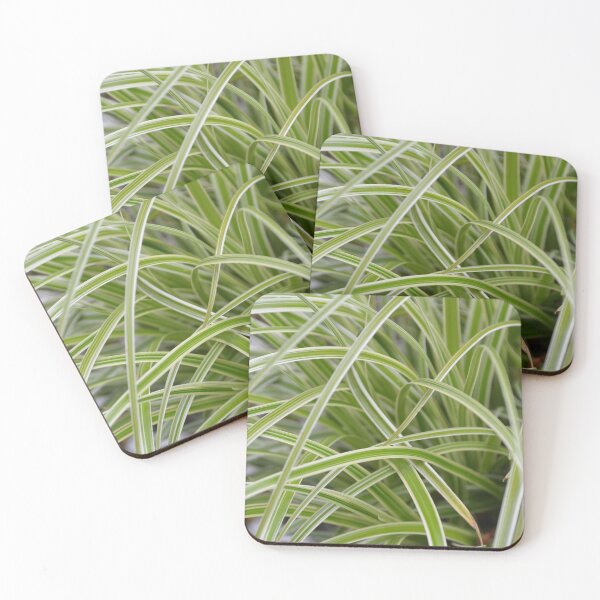 Item preview, Variegated Sedge Grass Full Frame Textures designed and sold by MiraNadaPrints.