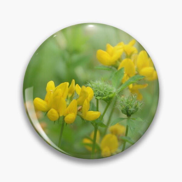 Item preview, Wild Yellow Birdsfoot Trefoil Meadow Wildflowers designed and sold by MiraNadaPrints.