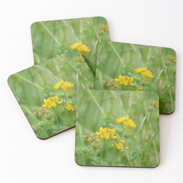 Item preview, Wild Yellow Birdsfoot Trefoil Meadow Wildflowers designed and sold by MiraNadaPrints.