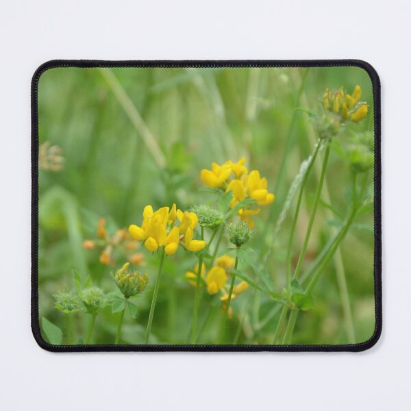 Item preview, Wild Yellow Birdsfoot Trefoil Meadow Wildflowers designed and sold by MiraNadaPrints.