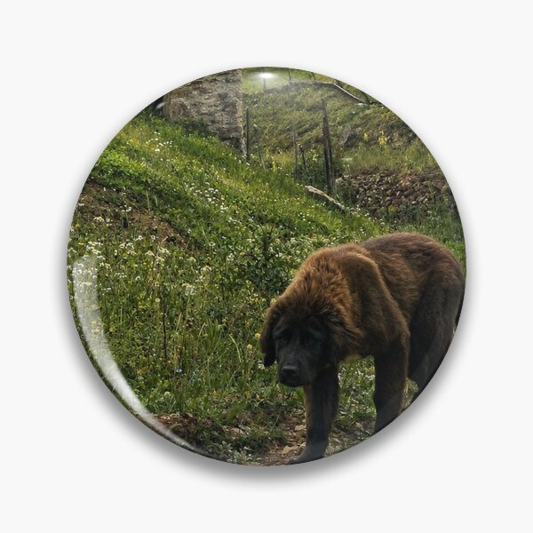 Artikelvorschau, Solitude – Lone Mountain Dog in Nature entworfen und verkauft von Mavriboy.