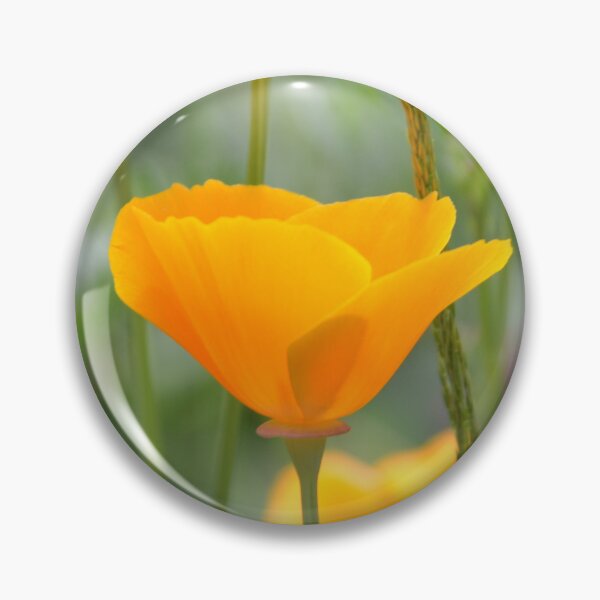 Item preview, Side Profile of Orange California Poppy designed and sold by MiraNadaPrints.