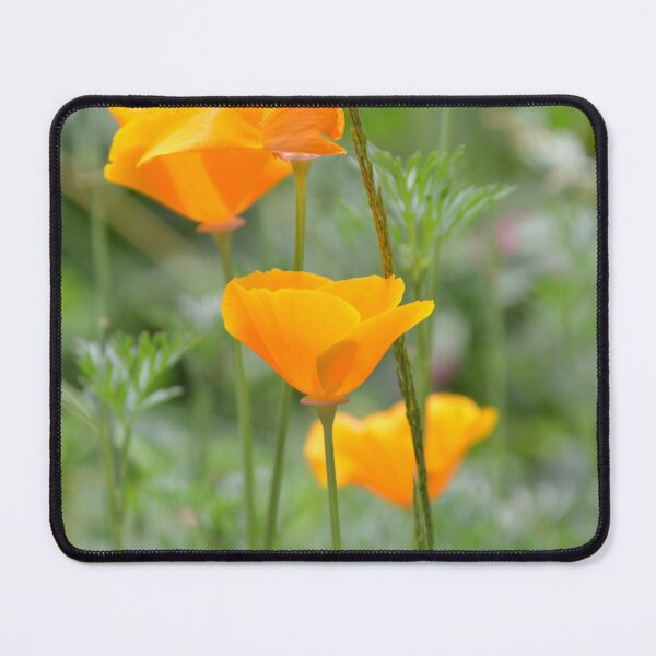 Item preview, Side Profile of Orange California Poppy designed and sold by MiraNadaPrints.