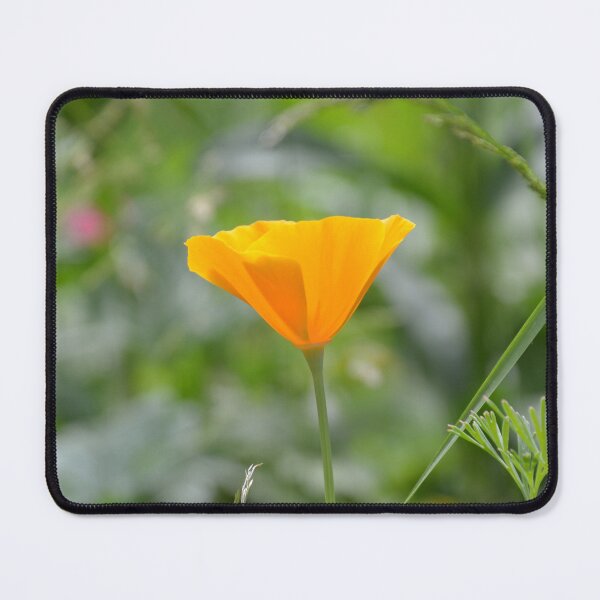 Item preview, Minimalist Golden Poppy in Summer Grass designed and sold by MiraNadaPrints.