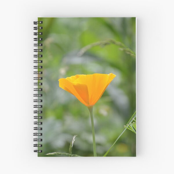 Item preview, Minimalist Golden Poppy in Summer Grass designed and sold by MiraNadaPrints.