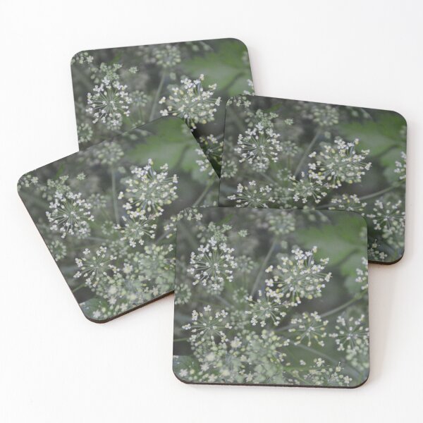 Item preview, Dainty White Parsley Flowers in Bloom designed and sold by MiraNadaPrints.