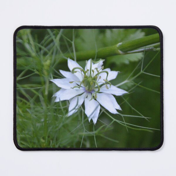 Item preview, Pale Blue Love In A Mist Flower designed and sold by MiraNadaPrints.
