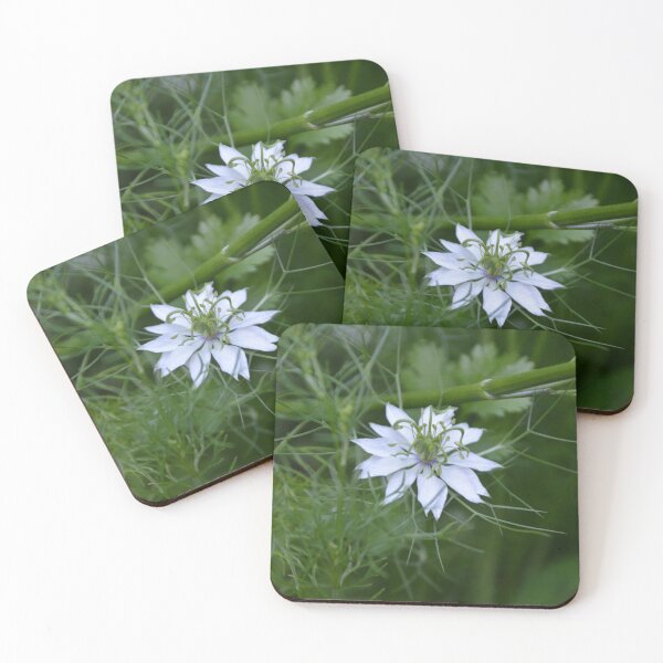 Item preview, Pale Blue Love In A Mist Flower designed and sold by MiraNadaPrints.