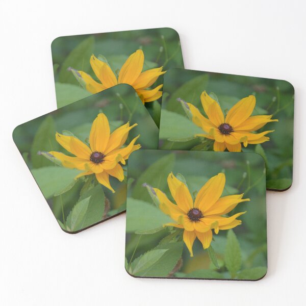 Item preview, Bright Yellow Black Eyed Susan Wildflower designed and sold by MiraNadaPrints.