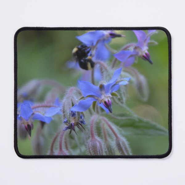 Item preview, Vibrant Blue Borage Blossoms with Bee designed and sold by MiraNadaPrints.