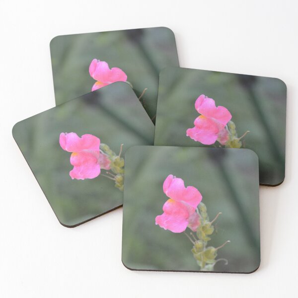 Item preview, Delicate Pink Snapdragon Flower Close Up designed and sold by MiraNadaPrints.