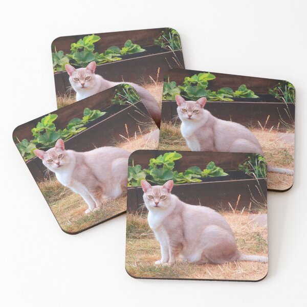 Item preview, Stare down  designed and sold by missmoneypenny.