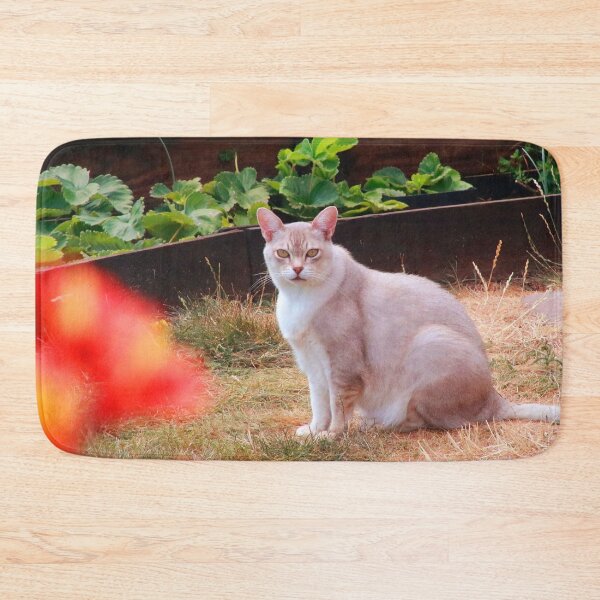 Item preview, Stare down  designed and sold by missmoneypenny.