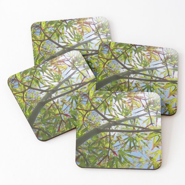 Item preview, Japanese Maple designed and sold by bravoalpha.