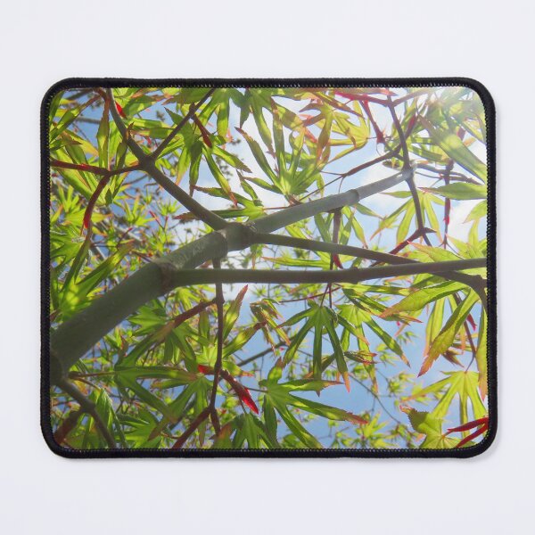 Item preview, Japanese Maple designed and sold by bravoalpha.