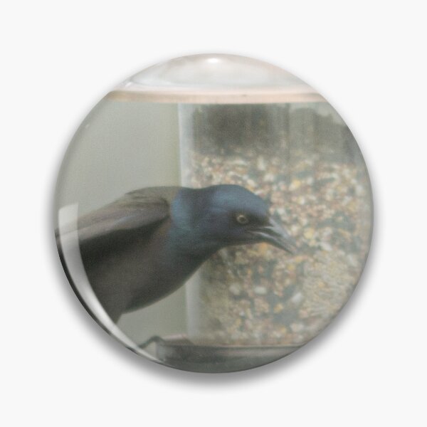 Item preview, Grackle on feeder designed and sold by HulaMoo.