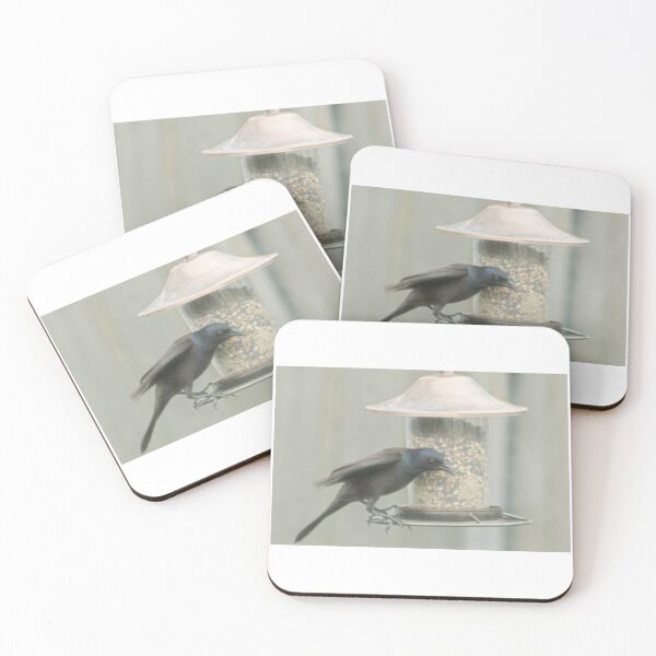 Item preview, Grackle on feeder designed and sold by HulaMoo.