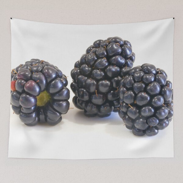 Item preview, Blackberries on a white background. Close-up designed and sold by IgorKovalenko.