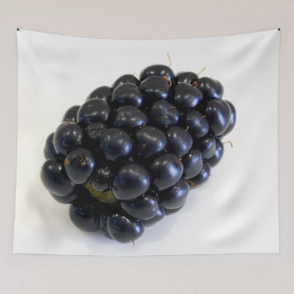 Item preview, Blackberries on a white background. Close-up designed and sold by IgorKovalenko.