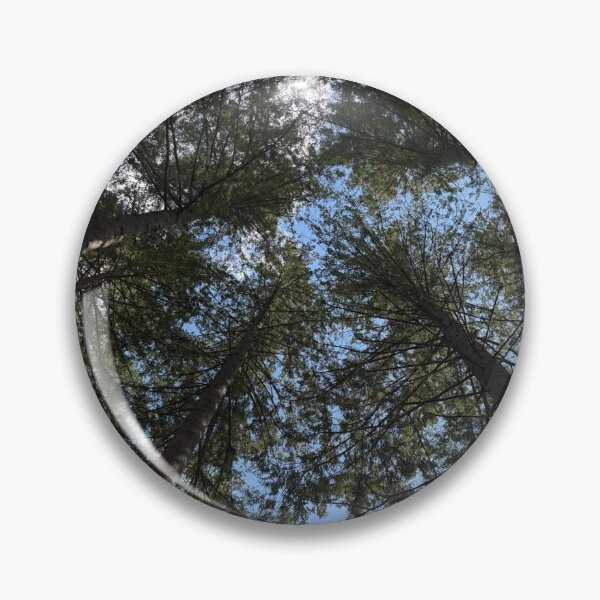 Item preview, looking up into the trees of the hermitage (dunkeld, scotland) (may 2026) designed and sold by photosbykel.